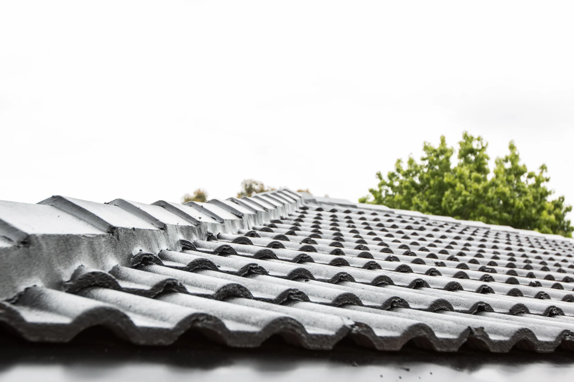 Roof maintenance - How Can I Prevent Moss and Algae Growth on My Roof