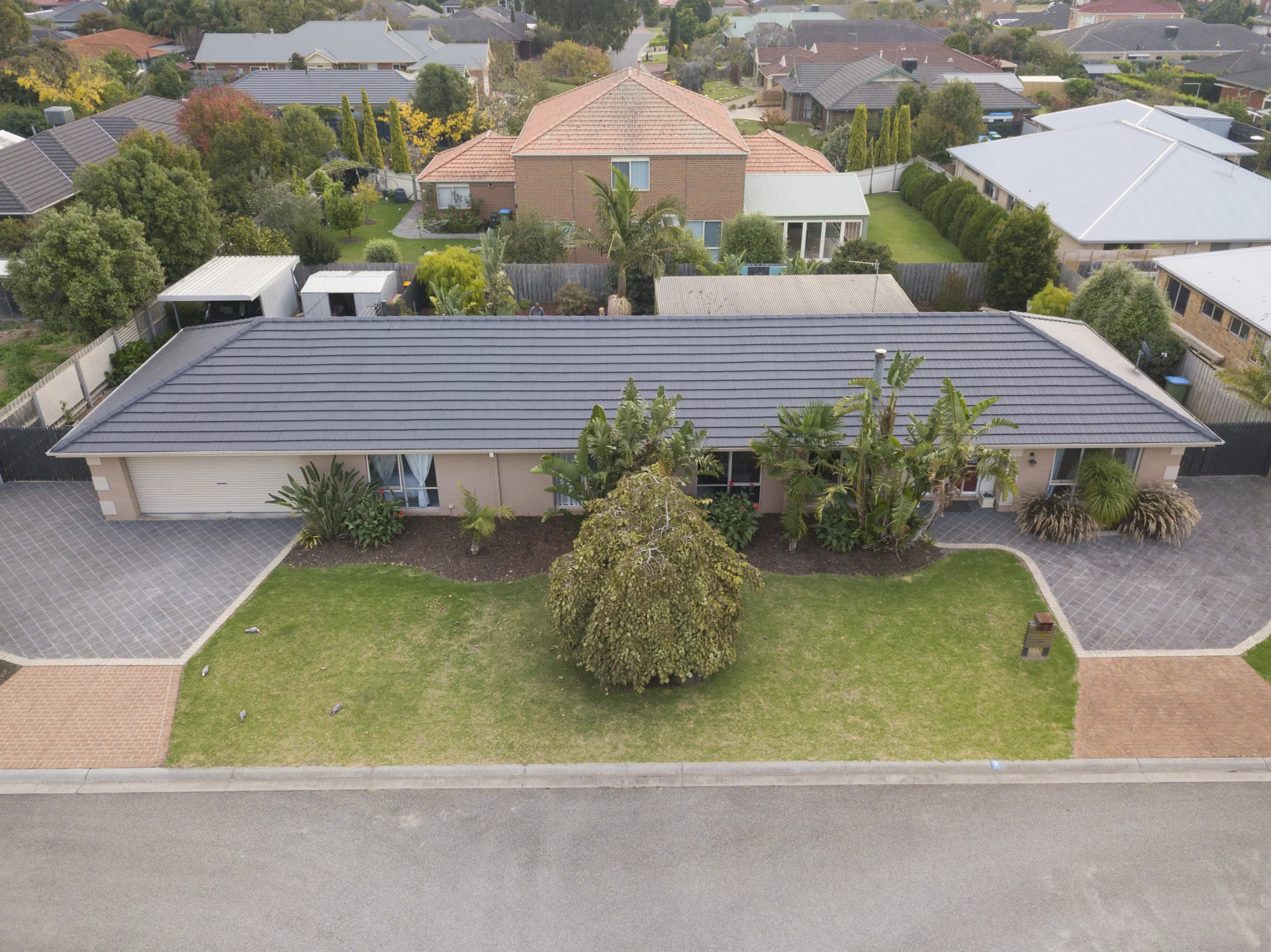 Roof maintenance - How Can Regular Tree Maintenance Contribute to Roof Longevity