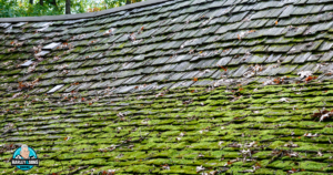 How To Fix A Sagging Roof To Prevent Structural Damage to Your Home