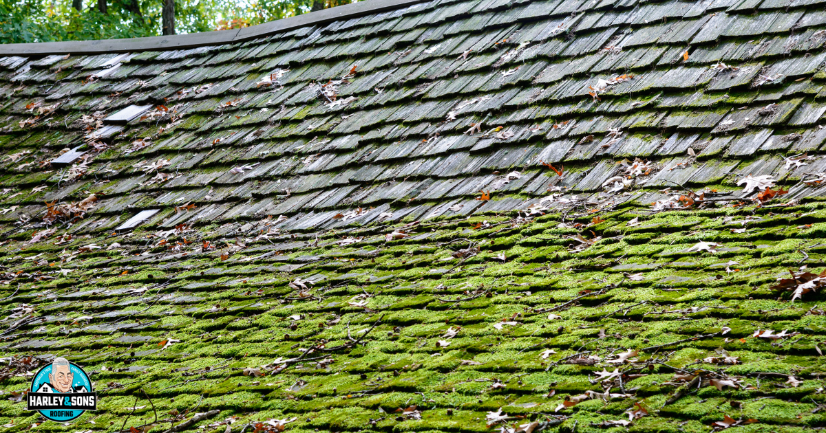How To Fix A Sagging Roof To Prevent Structural Damage to Your Home