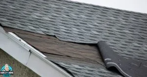 Rood Damage to Watch For