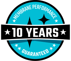 Badge 10 yrs