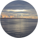 Tony H. profile picture