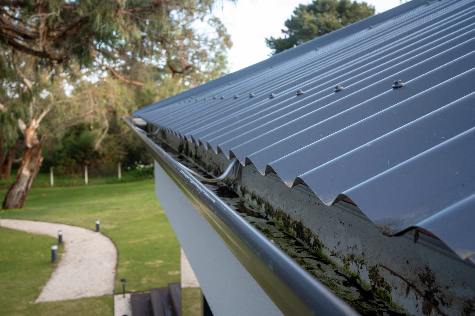 leaf guard before image
